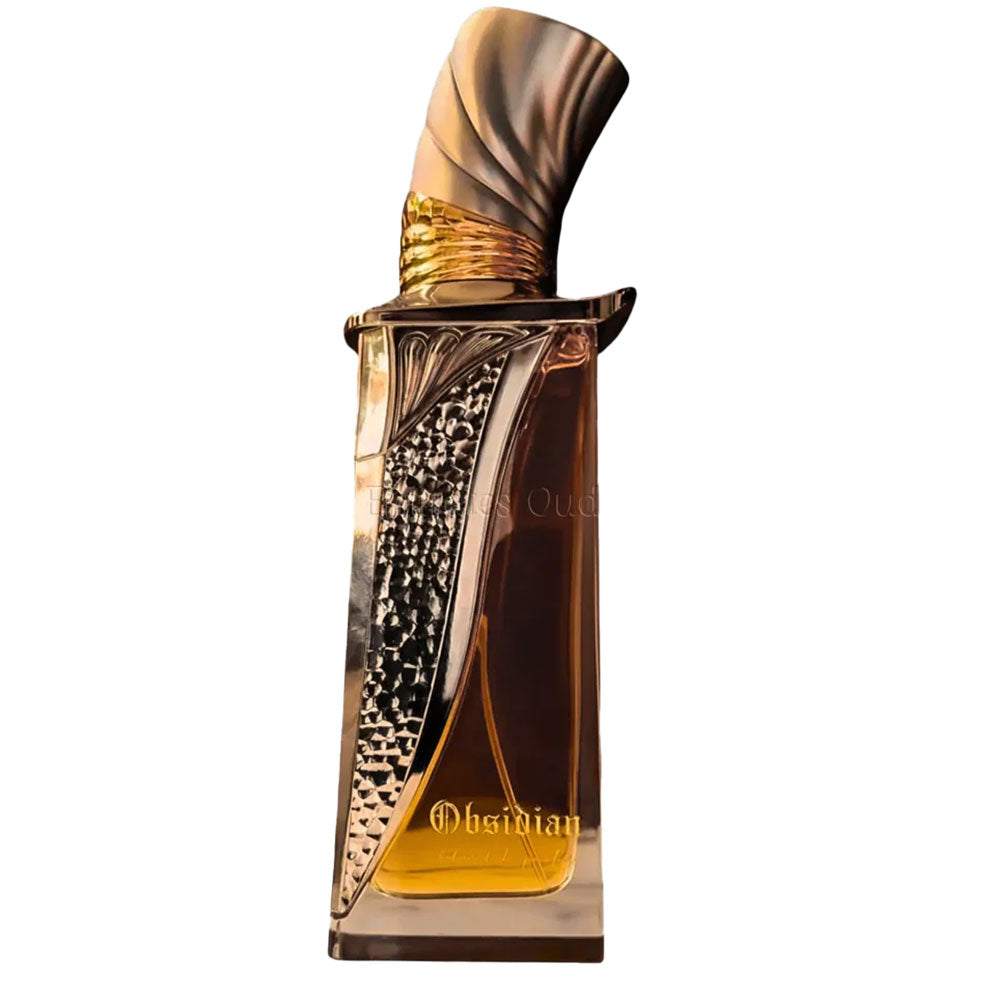 Obsidian Perfume 100ml EDP French Avenue